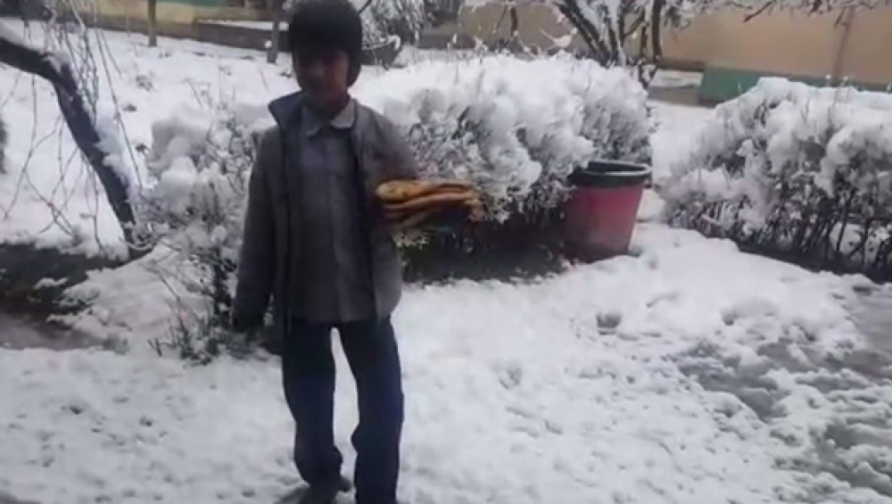 Allah Cennetleri Nasip Etsin